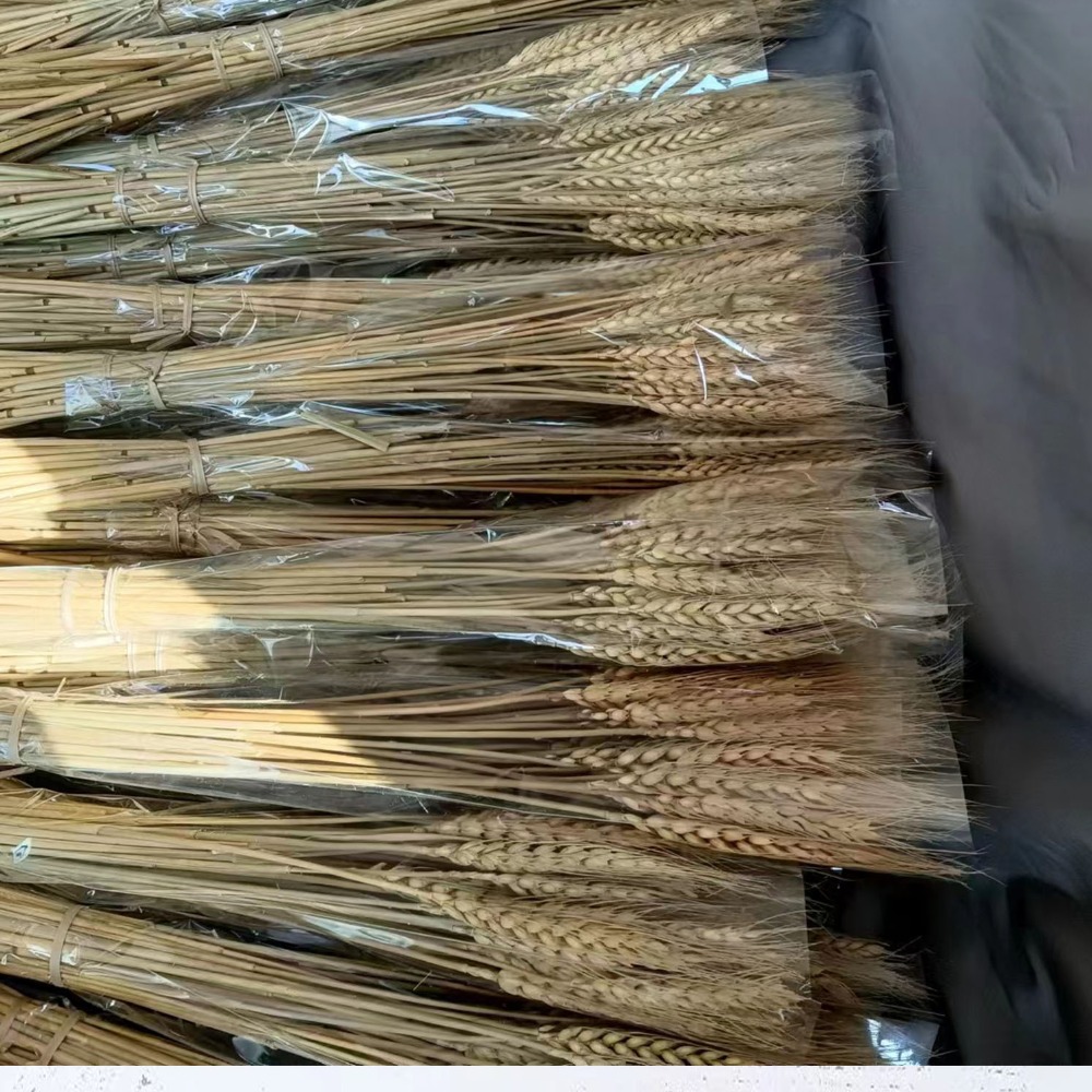Wedding Ceremony Supply - 50개 인조 꽃 자연 건조 밀